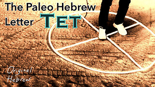 9. Tet | Paleo Hebrew Alphabet | The Words “Good” and “Trust,” Funny Looking Crowns, and more