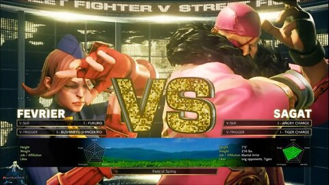 SFV:Champion Edition Play As Fevrier On Pc