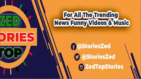 Zed Top Stories Live Stream