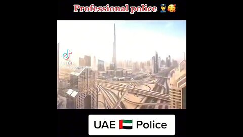 Dubai Police: A Model of Professionalism