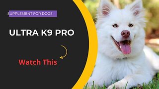 MAKE YOUR DOG HAPPIER - BUY ULTRA K9 PRO