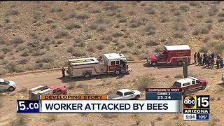 Worker attacked by hundreds of bees from old couch in Peoria