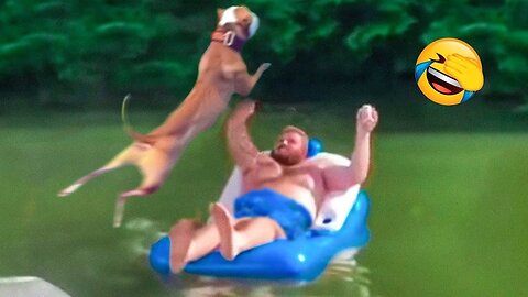 Funniest Dog Videos 🐶😹 - Funniest Animals 2023 | ad badshah
