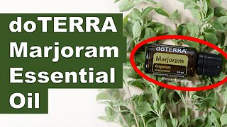 doTERRA Marjoram Essential Oil Benefits and Uses