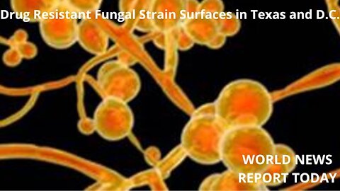 Drug Resistant Fungal Strain Surfaces in Texas and D.C.