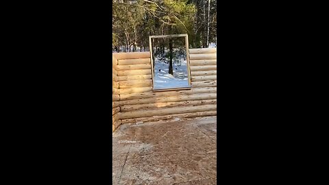 Walls are getting higher! #logcabinbuild #logcabin #offgrid