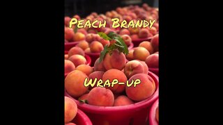 Peach Brandy Wrap up