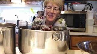 Concord grape jelly! Watch the whole process!