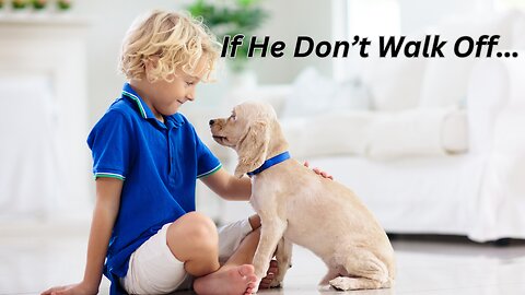 If That Dog Doesn't Walk off...#funnydogvideo #funnydogs #dogs