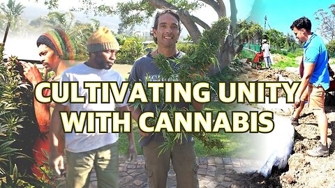 Life on a Cannabis farm in South Africa | 2023 Highlights | Our Journey of Growing Together
