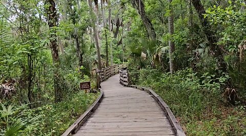 Traveling Florida, Atlantic Ocean, Blue Spring, Bulow Sugar Mill #travelvideos #solotravel #minivan