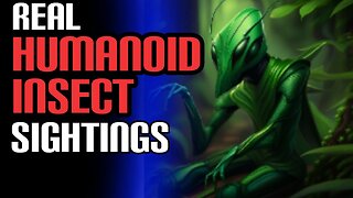 True Cryptid Encounter Stories From Viewers | Insect or Mantis Humanoid Creatures