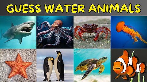 Guess Water Animals | Aquatic Animals | Animals Quiz