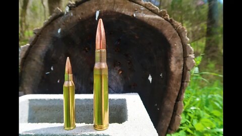 338 lapua magnum vs 50 bmg - Splitting Logs!!!