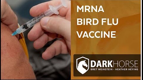 Will you get your mRNA bird flu vaccine? - Dr Bret Weinstein, Dr Heather Heying