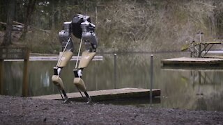 First 2-Legged Robot To Learn To Run And Walk Outside