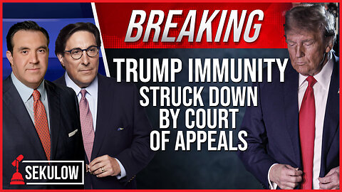 BREAKING: Trump Immunity Struck Down by Court of Appeals