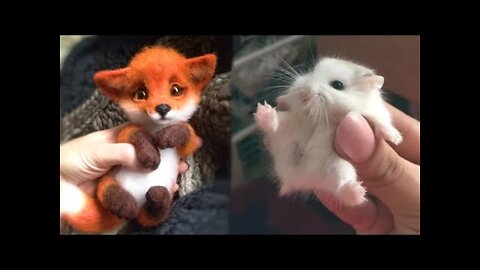 Cute baby animals Videos Compilation cute moment of the animals -Ahmee Creations