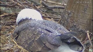 Hays Eagles Mom s Feather Water Repellency study 2022 02 17 9:39am