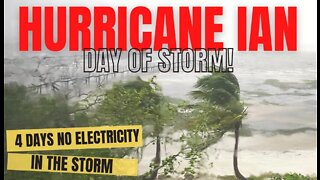 Hurricane Ian Amazes Great Danes