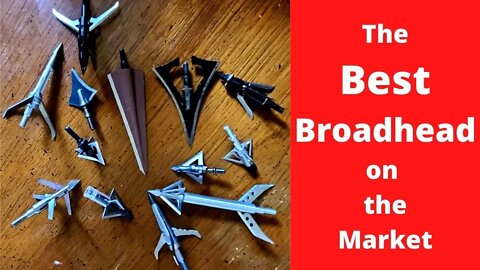 The Best Broadhead for Bowhunting - New Bow Hunter Series