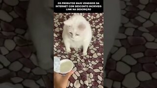 OLHA O QUE ESSE GATO FEZ