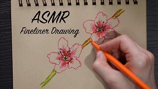 ASMR Drawing with Fineliners | Pen sounds | No Talking