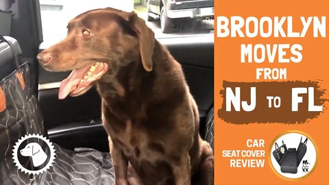 BROOKLYN MOVES from NJ to FL! 🐶 BONUS ► OKMEE CAR SEAT (Unboxing, Install, Review) #BrooklynsCorner