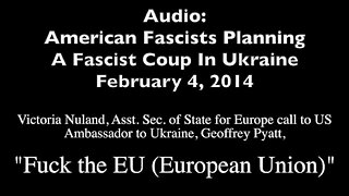 Leaked Audio: US Asst Sec of State for Europe & US ambassador to Ukraine from 2014