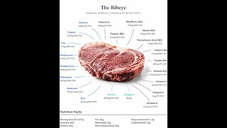 Carnivore Accountability Ep. 1