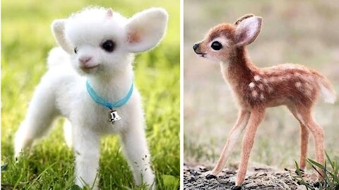 Top 10 animal cute baby you can't imagine