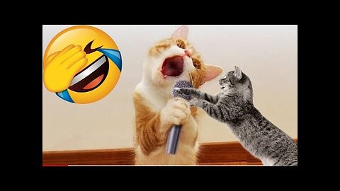 Paws & Chuckles: Hilarious Cat-Dog Capers! 🐾😂
