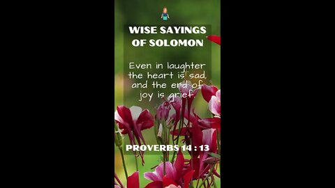 Proverbs 14:13 | NRSV Bible | Wise Sayings of Solomon