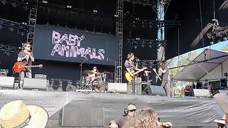 Baby Animals - Painless - Live (Perth)