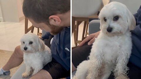 Try kissing your dog and see the reaction