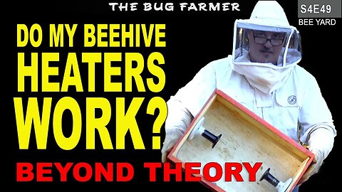 Do Beehive Heaters Really Work? #beekeeping #insects
