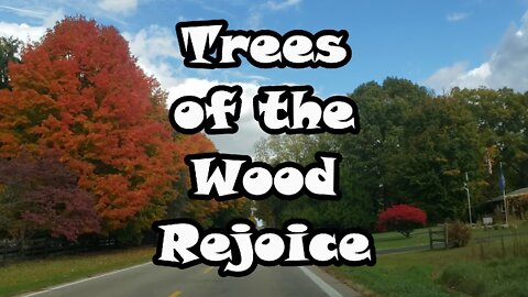 Trees of the Wood Rejoice: Psalm 96