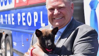 Doug Ford Just Got Ranked Canada's Second Most Popular Premier