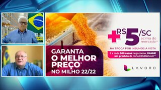 Lavoro mantém campanha de barter para milho a +R$5 e combate à sugadores