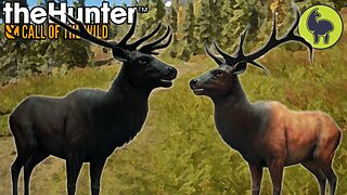 Teddy and the Bears, Hunt Club Beta | theHunter: Call of the Wild (PS5 4K 60FPS)