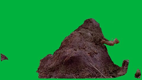 Green Screen – Jurassic Park - That is one big pile of shit (1080p_24fps_H2