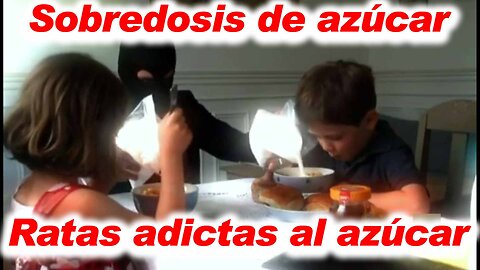 21may2015 La noche tematica RTVE - Sobredosis de azucar, ratas adictas al azucar || RESISTANCE ...-