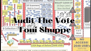 Truth & Transparency ~ Toni Shuppe (CEO Audit The Vote)