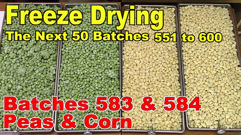 Freeze Drying - The Next 50 Batches - Batch 583 & 584, Peas & Corn - Plus Rehydrating Old Samples