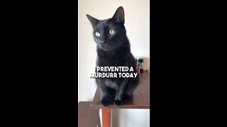 I prevented a murder!
