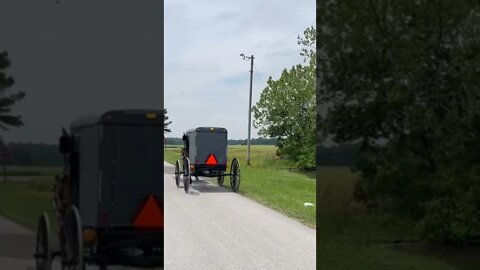 Amish buggy just down the street from my house￼