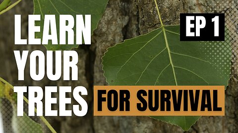 Learn Your Trees for Survival Ep 1