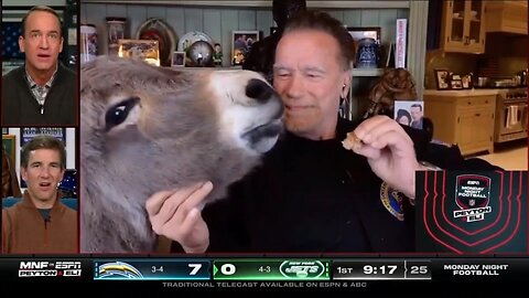 So Weird... Schwarzenegger Feeds His Donkey During Monday Night Football