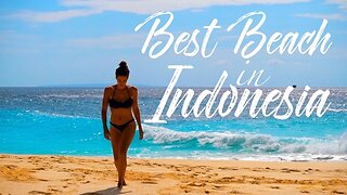 MOST BEAUTIFUL BEACH I HAVE EVER VISITED || KELINGKING BEACH, NUSA PENIDA, INDONESIA