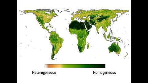 Homogeneous indigenous ethnostates > heterogeneous settler colonies